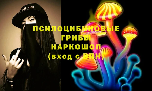 стаф Пролетарск