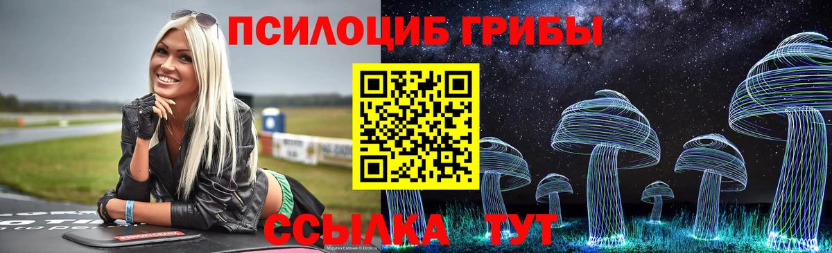 Псилоцибиновые грибы мицелий Саяногорск