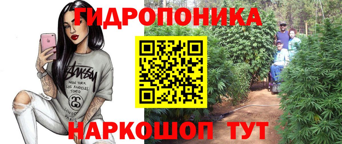 Марихуана OG Kush Саяногорск